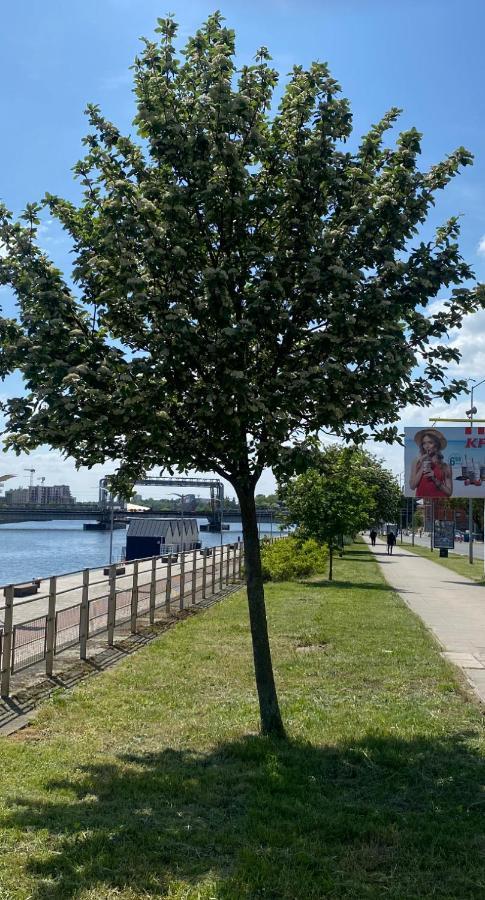 Floating Apartments - Odra Dream Stettin Eksteriør billede